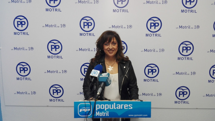 El Consejo de personas con Diversidad Funcional respalda la propuesta para que Motril cuente con un Centro Comarcal de valoración